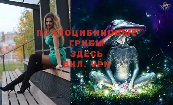 шишки Волоколамск