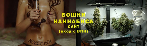 шишки Волоколамск