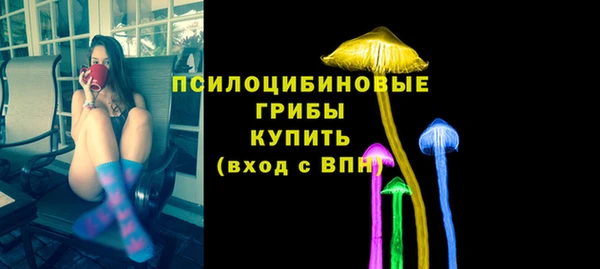 шишки Волоколамск